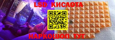 прущие грибы Донецк