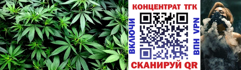 ТГК Wax  Коммунар 