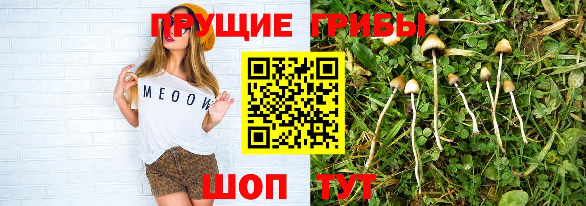 купить  сайты  Галлюциногенные грибы GOLDEN TEACHER  Вход с VPN  Коммунар 