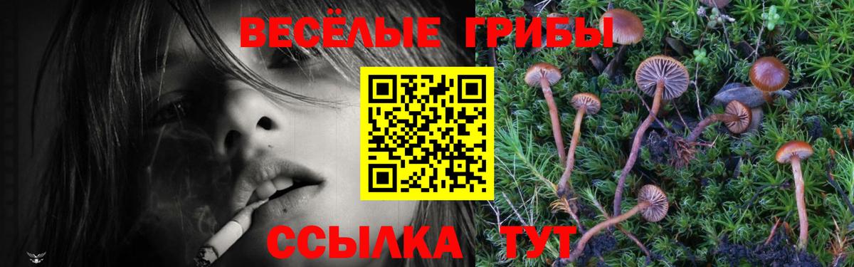 Конопля Коммунар