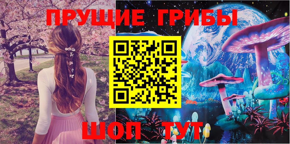 Псилоцибиновые грибы мицелий Коммунар