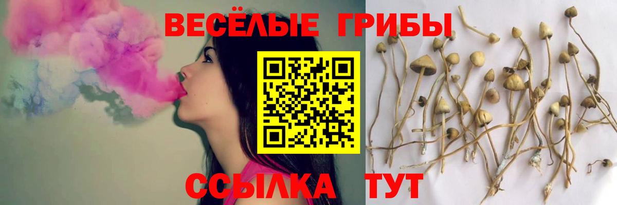 Псилоцибиновые грибы MAGIC MUSHROOMS  Коммунар 